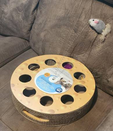 Durable Corrugated Cardboard Cat Or Dog Circle Toy by Bored Humans 1