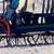 Horse sleigh 1 thumbnail