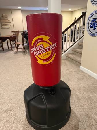 Wavemaster Training Bag - punch/kick bag 1