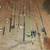 FISHING POLES 9 thumbnail