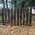 Used Four foot tall cedar fencing 3 thumbnail