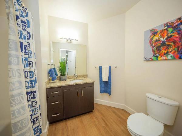 $1,225 / 577ft2 - Undermount sinks, Sleek granite countertops, Warm, wood-style floors (Portland)63999456365315121