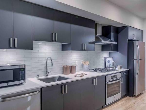 $2,199 / 1br - 529ft2 - Storage units, Quartz countertops with under mount sinks (South Lake Union)63852482661763120