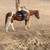 Retired roping horse for sale Pinto Gelding 3 thumbnail
