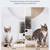 NEW Automatic Cat Feeder, WiFi Automatic Dog Feeder 5 thumbnail
