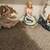 New 3 Piece Set of Mermaids (reduced) 6 thumbnail