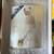 Crystal Two Size Picture Frame - Large Size. Hold 2 8x10 Pictures - New In Box 1 thumbnail