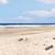 Move In Ready/ Oregon Central Coast/Commercial 14 thumbnail