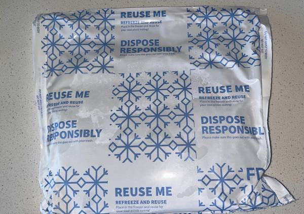 Free Large Ice Packs 1