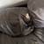 Brown Leather Couch 4 thumbnail