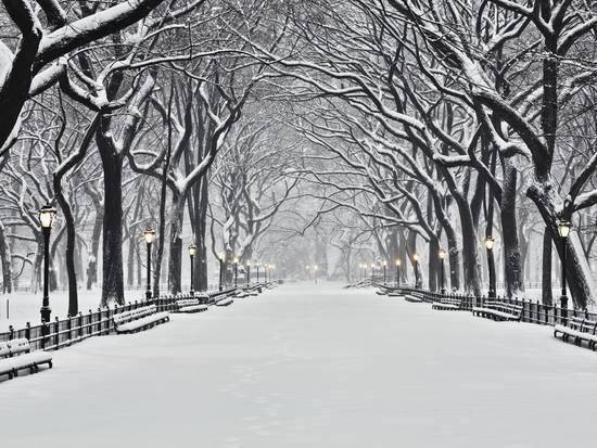 Hi all! I am looking for a room/studio south of 86 West or East

$0

                        Upper West Side