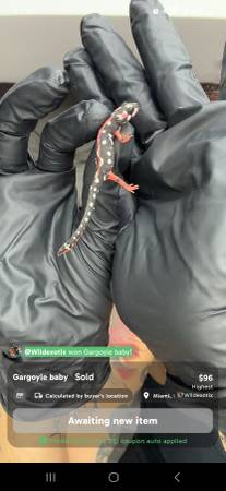 Classroom Reptile Show (san jose south)64664712305538123