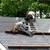 Jeff Emergency Roof Repair Replacement New Roofing Construction Gutter 9 thumbnail