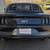 2016 Ford Mustang Shadow Black Call Today! 3 thumbnail