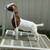 FFA/4H SHOW GOAT PROJECTS RISING VALLEY LIVESTOCK 7 thumbnail