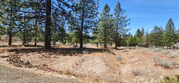 $8,000 / 10000ft2 - Quarter acre lot on Fisher in Lake Shastina (Lake Shastina)63678184678019122