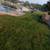Bush trimming, Mulch, Planting, Weeding,Retaining walls, 10 thumbnail