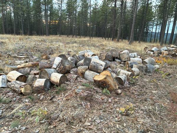 Firewood Rounds 1