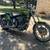 *****1990 Harley Davidson Softail Custom **** 1 thumbnail