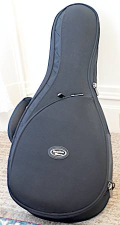Reunion Blues Mandolin case 1