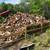 Hardwood seasoned Firewood 1 thumbnail