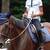 Colorado Ranger registered Mare great kids or beginner adult  horse 1 thumbnail