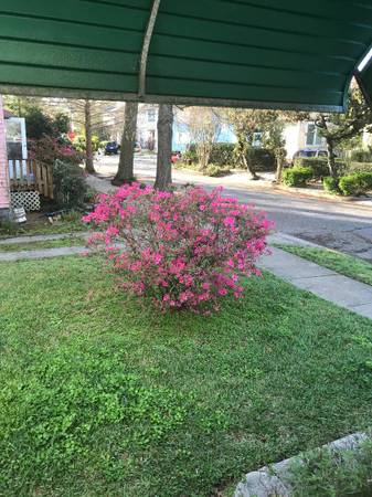 Riverbend driveway for rent 1