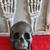 Brass Skull 9 thumbnail