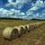 Hay For Sale 4’ x 5’ Net Wrapped Round Bales *Mixed Grass Hay* 1 thumbnail