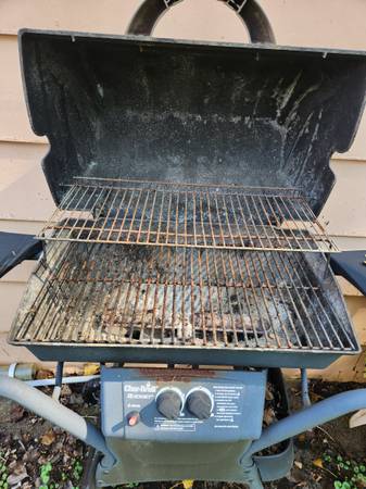 Gas BBQ grill 1