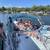 Rinker Fiesta Vee 300 - Toad Cove Yacht Club 19 thumbnail