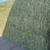 Alfalfa 4 thumbnail