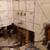 RANDY BARNES PAINTING SINCE 1976 @ (760)399-083six) non-licensed 22 thumbnail