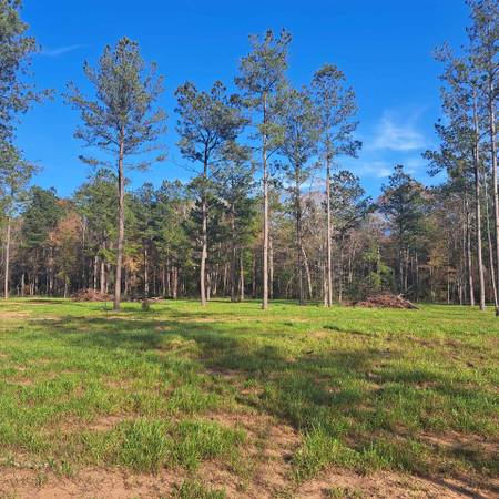 1/2 acre and 3 bedroom Mobile home singlewide near Huntsville 1