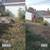 PURE STUMP GRINDING AND TREE SERVICE Clarkston, Lake Orion, Waterford 4 thumbnail