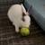 Bunny 1 thumbnail