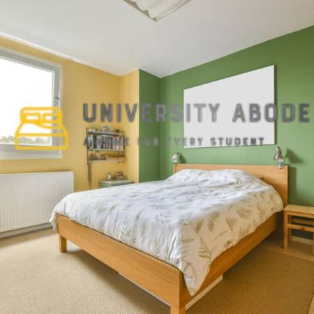 Why Choose a PG Over Renting a Flat? - University Abode 1