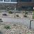 New landscape Removal job design light to med size tree and bush $499 9 thumbnail