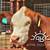 HEIFER CALFS 1 thumbnail