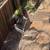 TREE &STUMP GRINDING &STUMP REMOVAL SERVICE 23 thumbnail