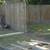All fence Repairs 1 thumbnail