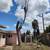 Tree service/landscaping/tractor service,Carmel valley valley,Salinas 7 thumbnail