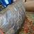 Four Hands Leather Ottoman needs reupholstering 3 thumbnail