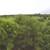 TBD FM 1696 ~ Land for Sale in Iola, TX 15 thumbnail