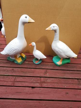 Cement yard geese 1