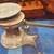 Antique Howe Scale 10 Pound Split Tail Beam Scale Cast Iron 1 thumbnail