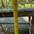 Antique  Early American style Deacon or Hall Bench 18 thumbnail