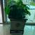 INDOOR PLANTER 45x45 ON IRON STAND & ARTIFICIAL PLANTS..price in pesos 3 thumbnail