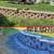 Landscaping & Lawn Care /Paver patio, Retaining Walls & More! 20 thumbnail