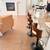 Furnished 3/3 Home - Flex-Lease Valencia Gated/Bridgeport Schools 4 thumbnail